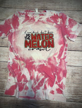 Load image into Gallery viewer, Watermelon Crawl
